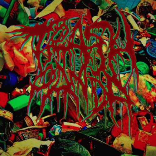 Trash Panda : Covered in Flies